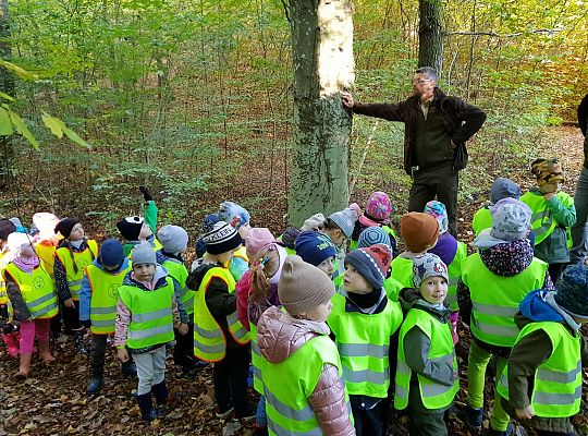 Wycieczka do Drętowa- poznajemy las, pracę leśniczego oraz sokolnika