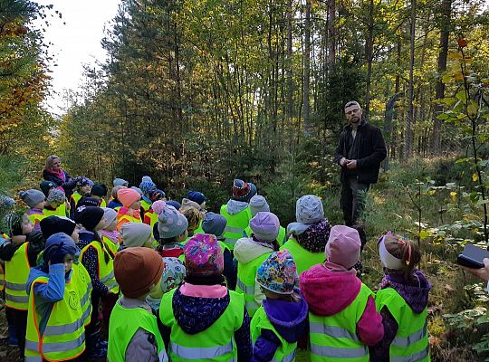 Wycieczka do Drętowa- poznajemy las, pracę leśniczego oraz sokolnika