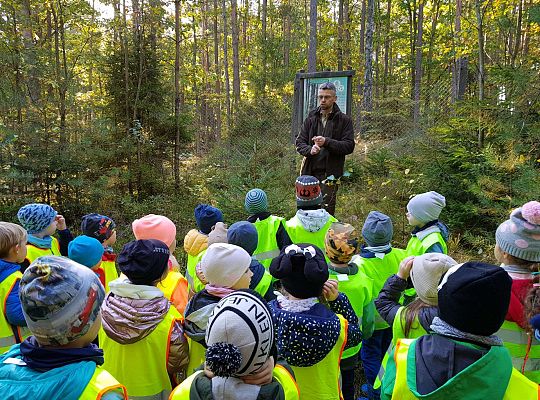 Wycieczka do Drętowa- poznajemy las, pracę leśniczego oraz sokolnika