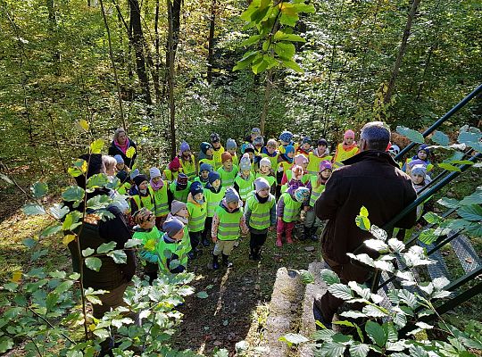 Wycieczka do Drętowa- poznajemy las, pracę leśniczego oraz sokolnika