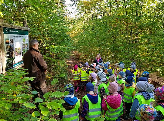 Wycieczka do Drętowa- poznajemy las, pracę leśniczego oraz sokolnika