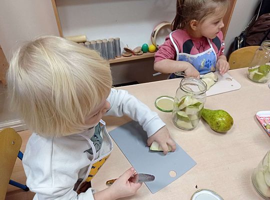 Gr. II Robimy kompot