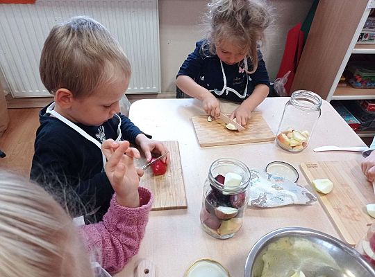 Gr. II Robimy kompot