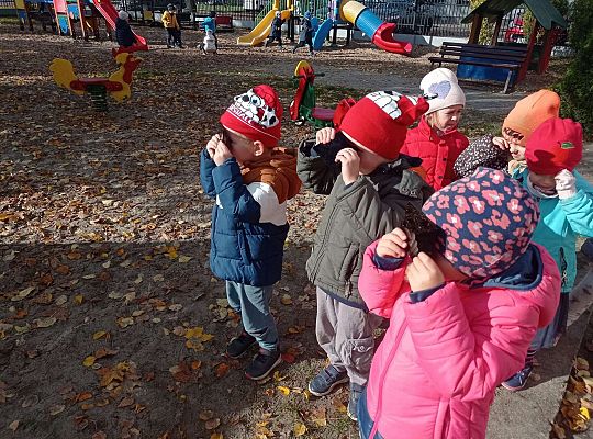 Gr. II Oglądamy zaćmienie słońca