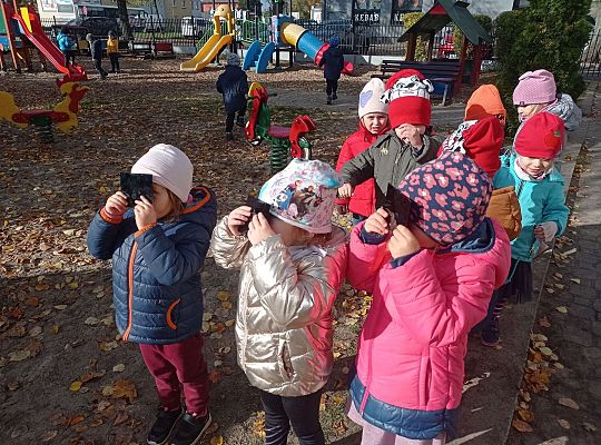 Gr. II Oglądamy zaćmienie słońca