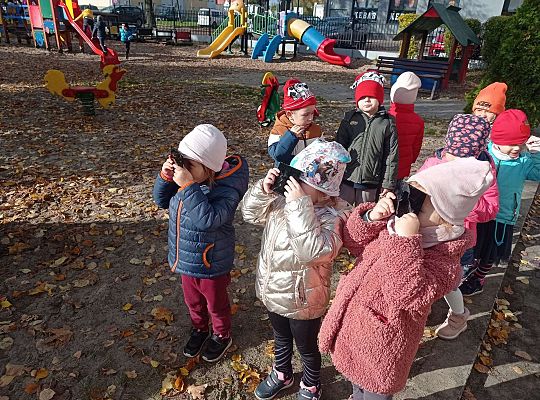 Gr. II Oglądamy zaćmienie słońca