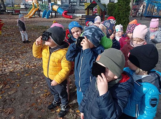 Gr. II Oglądamy zaćmienie słońca