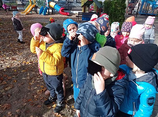 Gr. II Oglądamy zaćmienie słońca