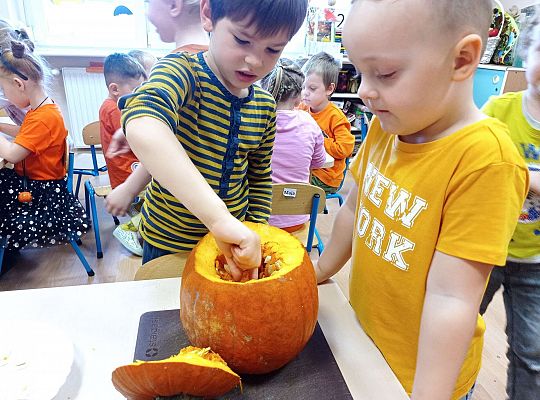 Gr. II "Dzień Dyni"