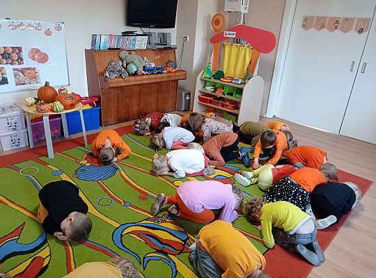 Gr. II "Dzień Dyni"