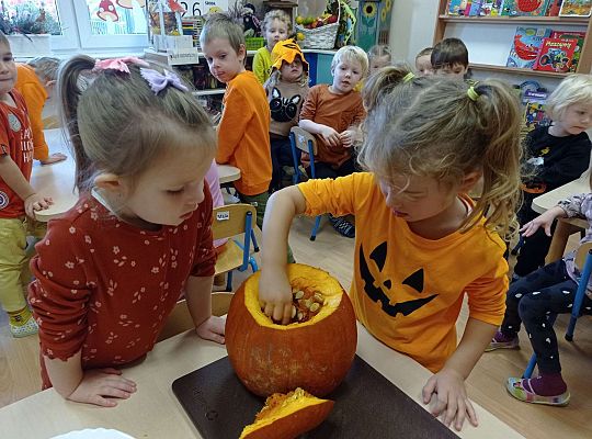 Gr. II "Dzień Dyni"