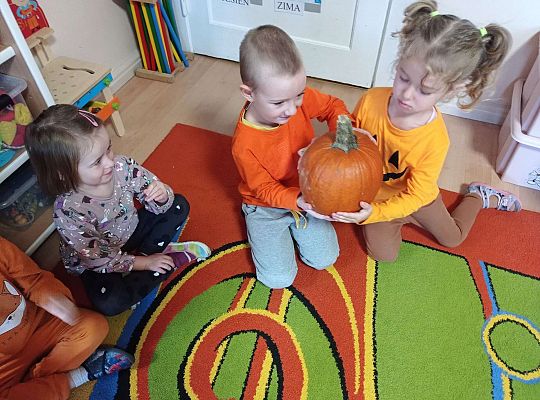 Gr. II "Dzień Dyni"