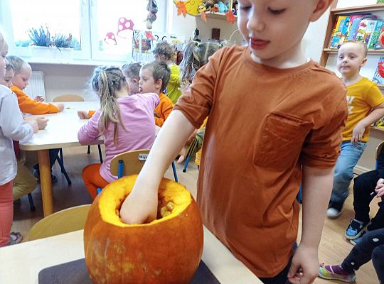 Gr. II "Dzień Dyni"