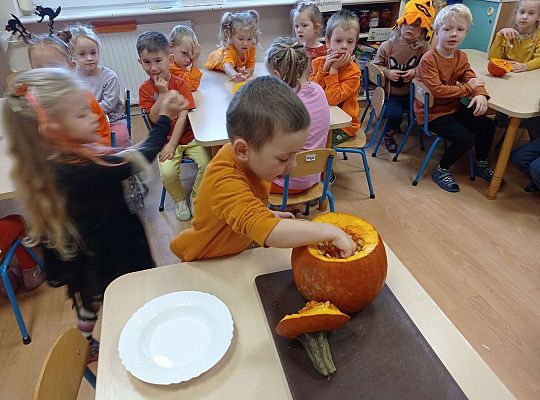 Gr. II "Dzień Dyni"