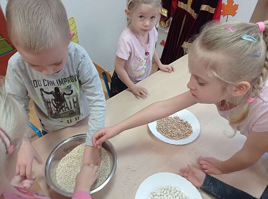 Gr. II "Dawno, dawno temu"