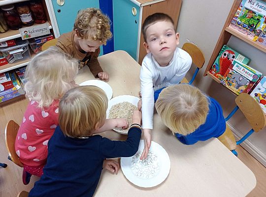 Gr. II "Dawno, dawno temu"