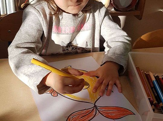 Gr. II "Nieostrożna rybka"