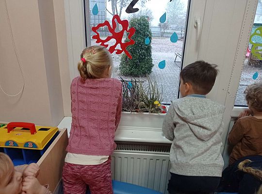 Gr. II Pierwszy śnieg