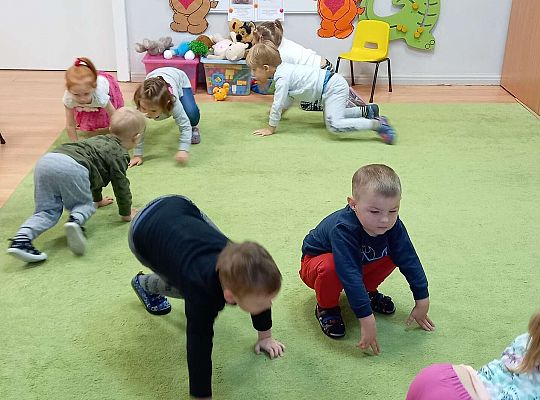 Gr. I Dzień Pluszowego Misia