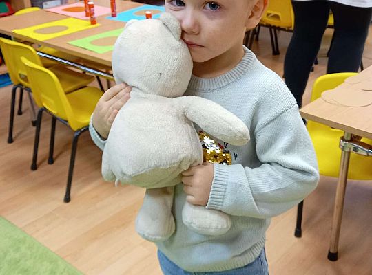 Gr. I Dzień Pluszowego Misia