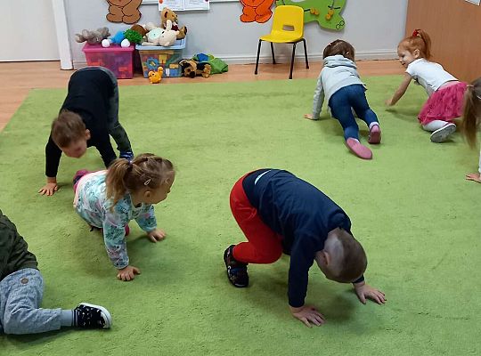 Gr. I Dzień Pluszowego Misia