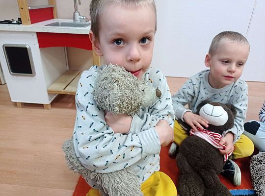 Gr. II Dzień Pluszowego Misia