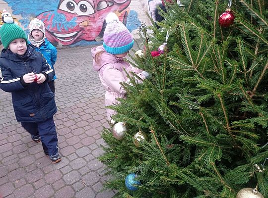 Gr. IV Stroimy choinkę przed przedszkolem