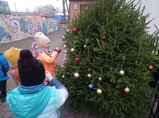 Gr. IV Stroimy choinkę przed przedszkolem