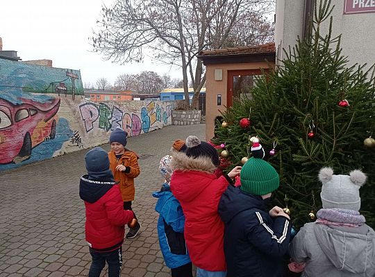 Gr. IV Stroimy choinkę przed przedszkolem