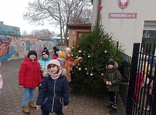 Gr. IV Stroimy choinkę przed przedszkolem