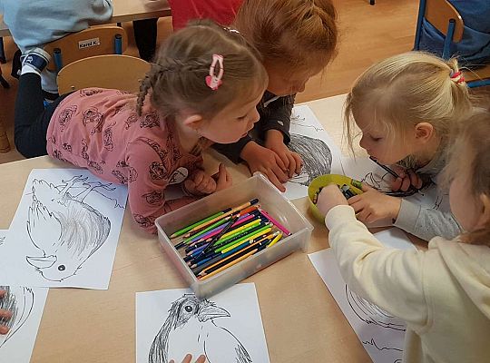 Gr. II "Czarna wrona"