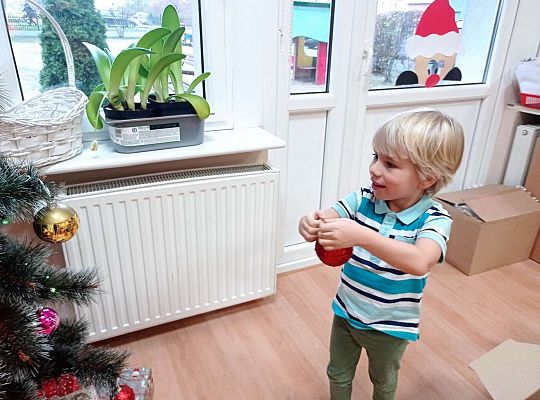 Gr. II Stroimy choinkę