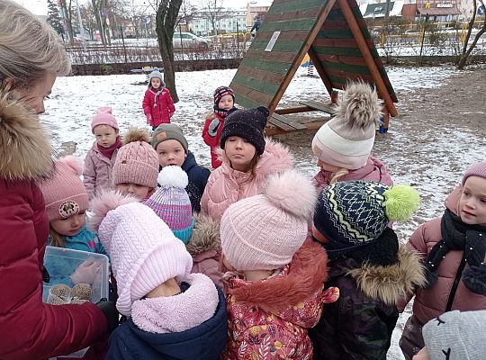 Gr. I i II " Pamiętamy o głodnych ptaszkach z naszej osady"