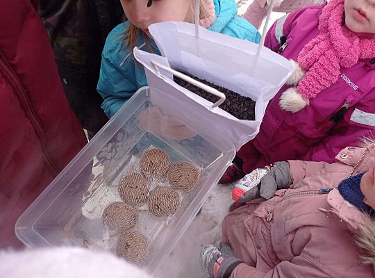 Gr. I i II " Pamiętamy o głodnych ptaszkach z naszej osady"