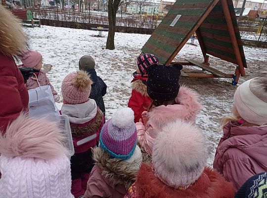 Gr. I i II " Pamiętamy o głodnych ptaszkach z naszej osady"