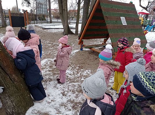 Gr. I i II " Pamiętamy o głodnych ptaszkach z naszej osady"