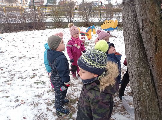 Gr. I i II " Pamiętamy o głodnych ptaszkach z naszej osady"