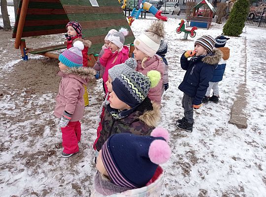 Gr. I i II " Pamiętamy o głodnych ptaszkach z naszej osady"