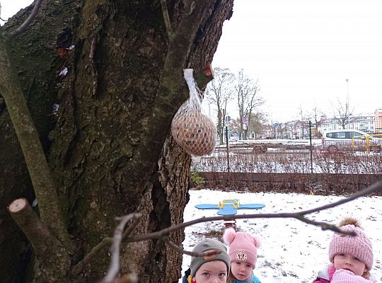 Gr. I i II " Pamiętamy o głodnych ptaszkach z naszej osady"