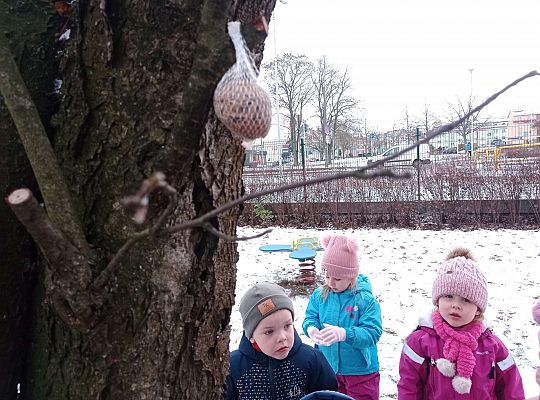 Gr. I i II " Pamiętamy o głodnych ptaszkach z naszej osady"