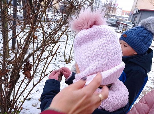 Gr. I i II " Pamiętamy o głodnych ptaszkach z naszej osady"