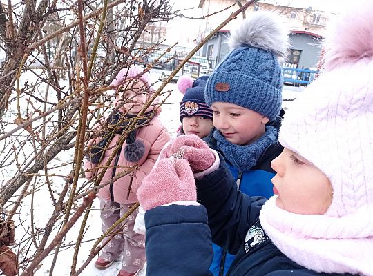 Gr. I i II " Pamiętamy o głodnych ptaszkach z naszej osady"