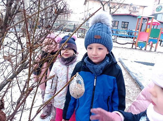 Gr. I i II " Pamiętamy o głodnych ptaszkach z naszej osady"