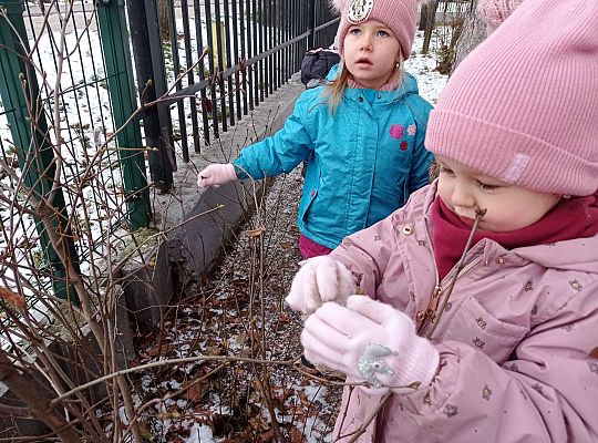 Gr. I i II " Pamiętamy o głodnych ptaszkach z naszej osady"