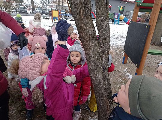 Gr. I i II " Pamiętamy o głodnych ptaszkach z naszej osady"