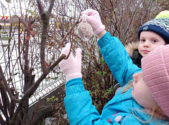 Gr. I i II " Pamiętamy o głodnych ptaszkach z naszej osady"