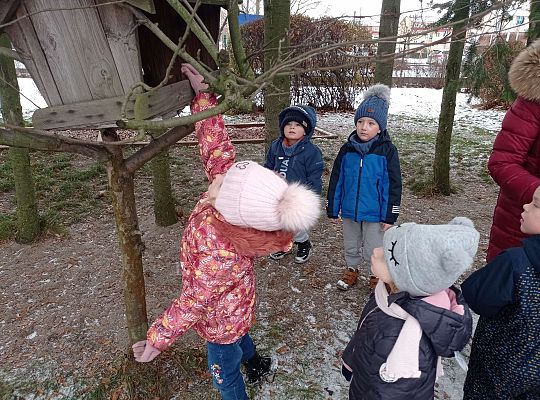 Gr. I i II " Pamiętamy o głodnych ptaszkach z naszej osady"