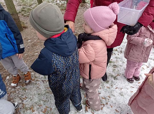 Gr. I i II " Pamiętamy o głodnych ptaszkach z naszej osady"