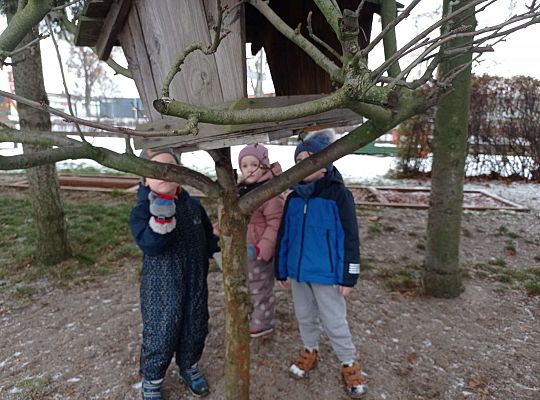 Gr. I i II " Pamiętamy o głodnych ptaszkach z naszej osady"