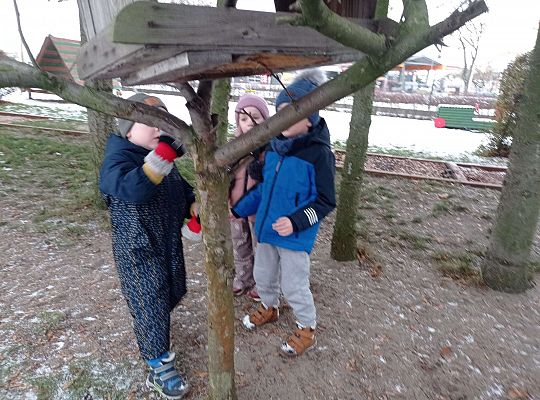 Gr. I i II " Pamiętamy o głodnych ptaszkach z naszej osady"